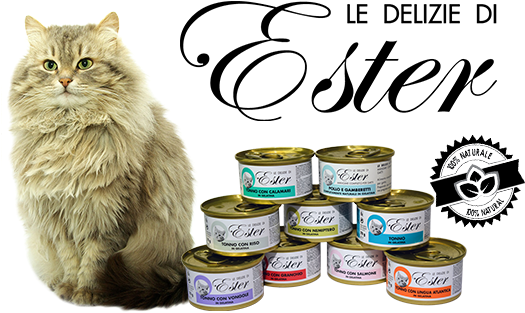Ciao E Te E Bentornato/a Nel Nostro Blog/sito - Domestic Long-haired Cat - Free Transparent PNG Clipart Images Download. - Cat Transparent PNG Free Download