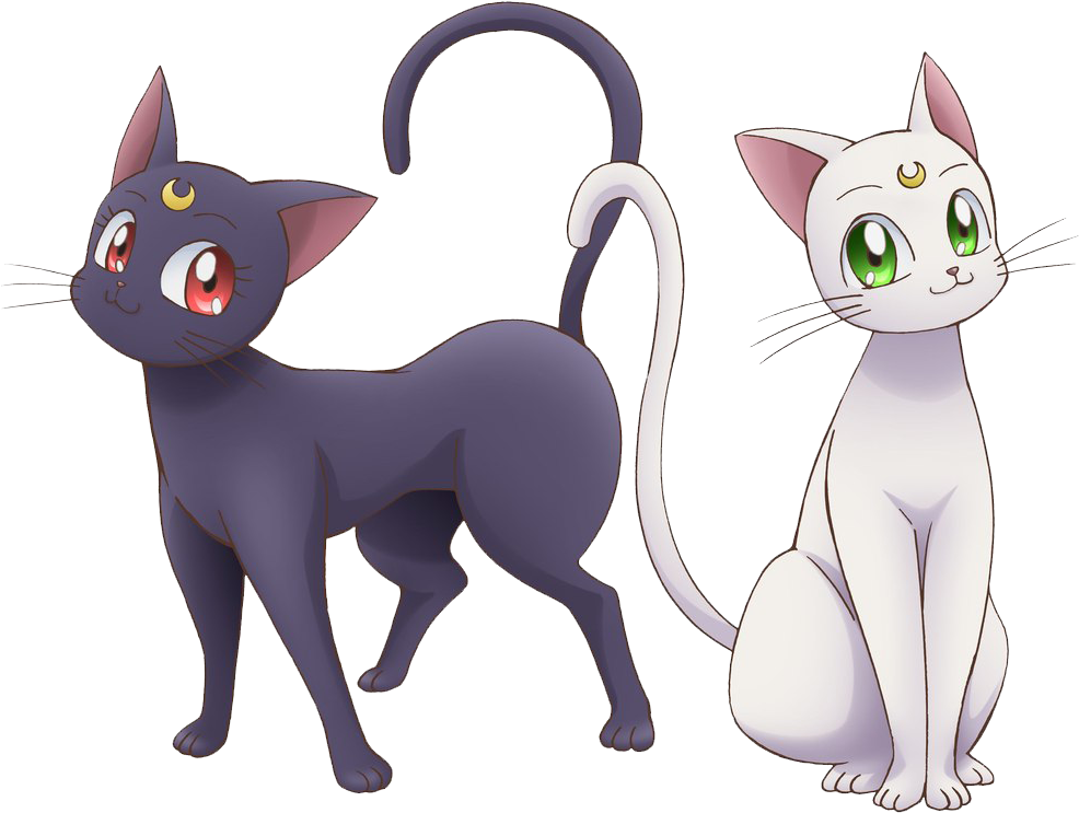 Sailor Moon Cats Png - Sailor Moon Luna Png Transparent PNG - 632x480 - Free Download on - Cat Transparent PNG Free Download