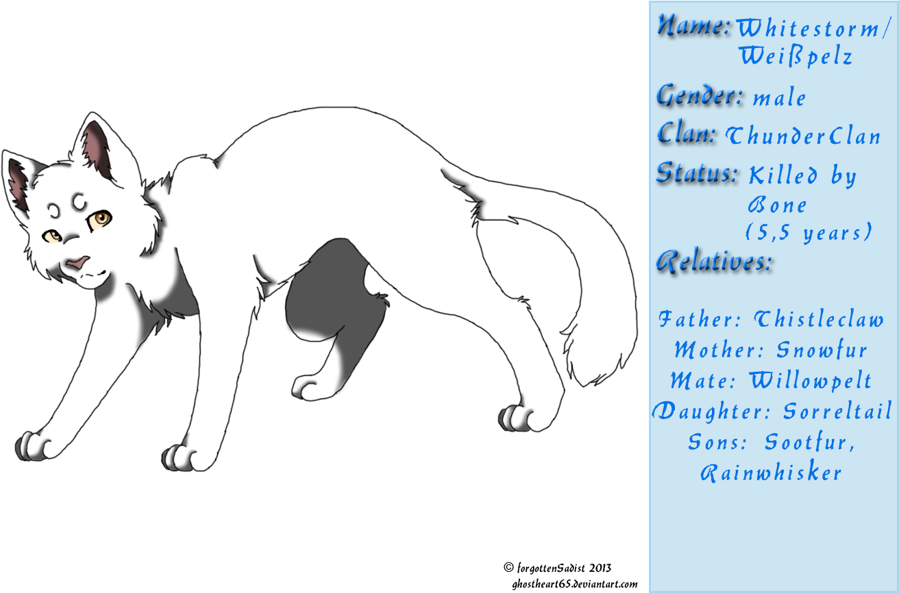 Whitestorm By Marauderwolf93 Warriors - Warrior Cats Willowpelt And Whitestorm - Free Transparent PNG Clipart Images Download. - Cat Transparent PNG Free Download