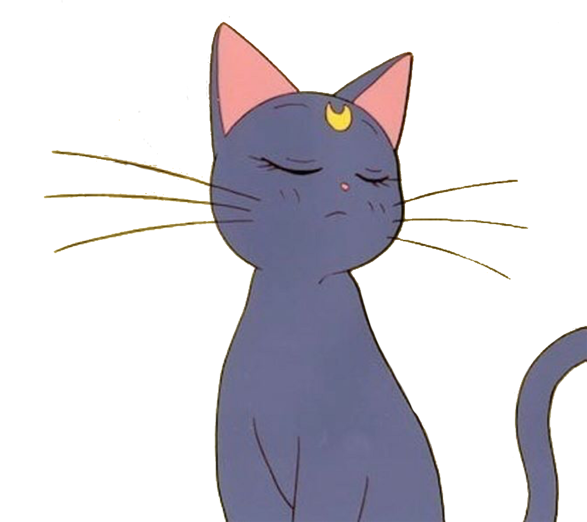 Anime Cat Sailormoon Aesthetic Tumblr Sticker Freetoedi - Anime Cat Aesthetic Transparent PNG - 1294x1024 - Free Download on - Cat Transparent PNG Free Download
