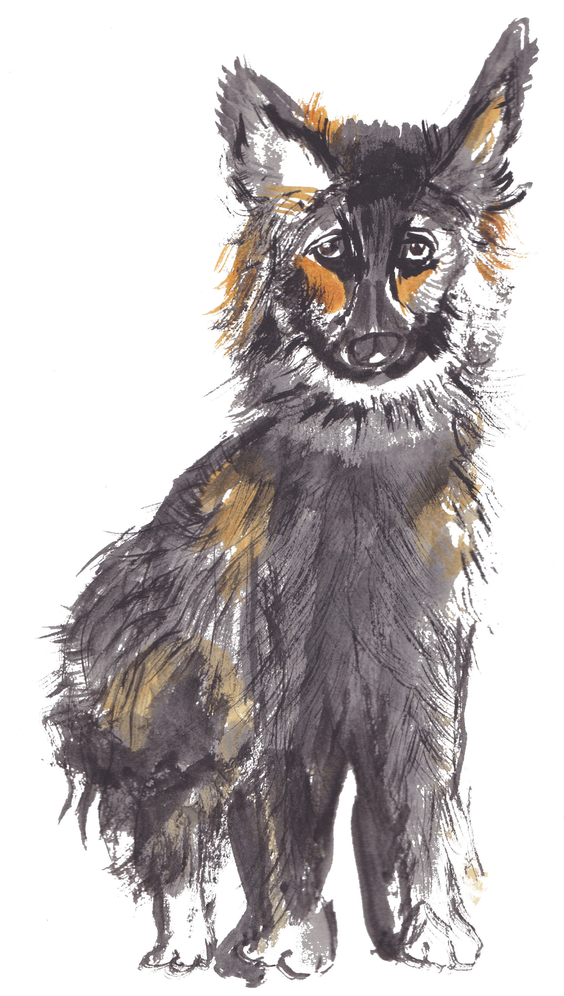 One Of My Dream Jobs, Book Cover Designs - Domestic Long-haired Cat Transparent PNG - 2046x3297 - Free Download on - Cat Transparent PNG Free Download