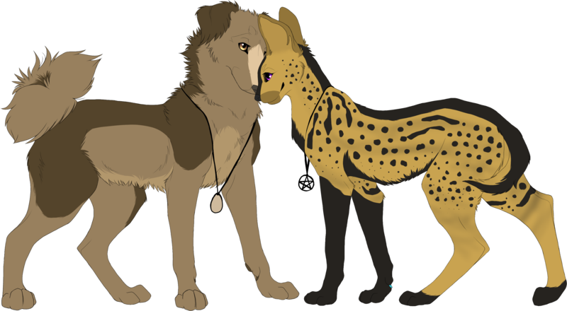 Dog And Cat Love Drawing With Dog And Cat Cartoon Drawings - Cat And Dog Drawings - Free Transparent PNG Clipart Images Download. - Cat Transparent PNG Free Download