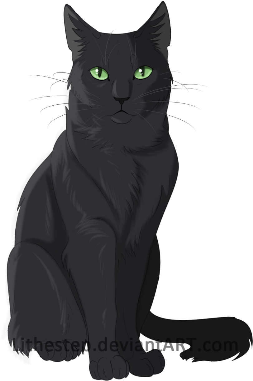 Black And White Siamese Cat For Kids - Black Warrior Cat Art - Free Transparent PNG Clipart Images Download. - Cat Transparent PNG Free Download