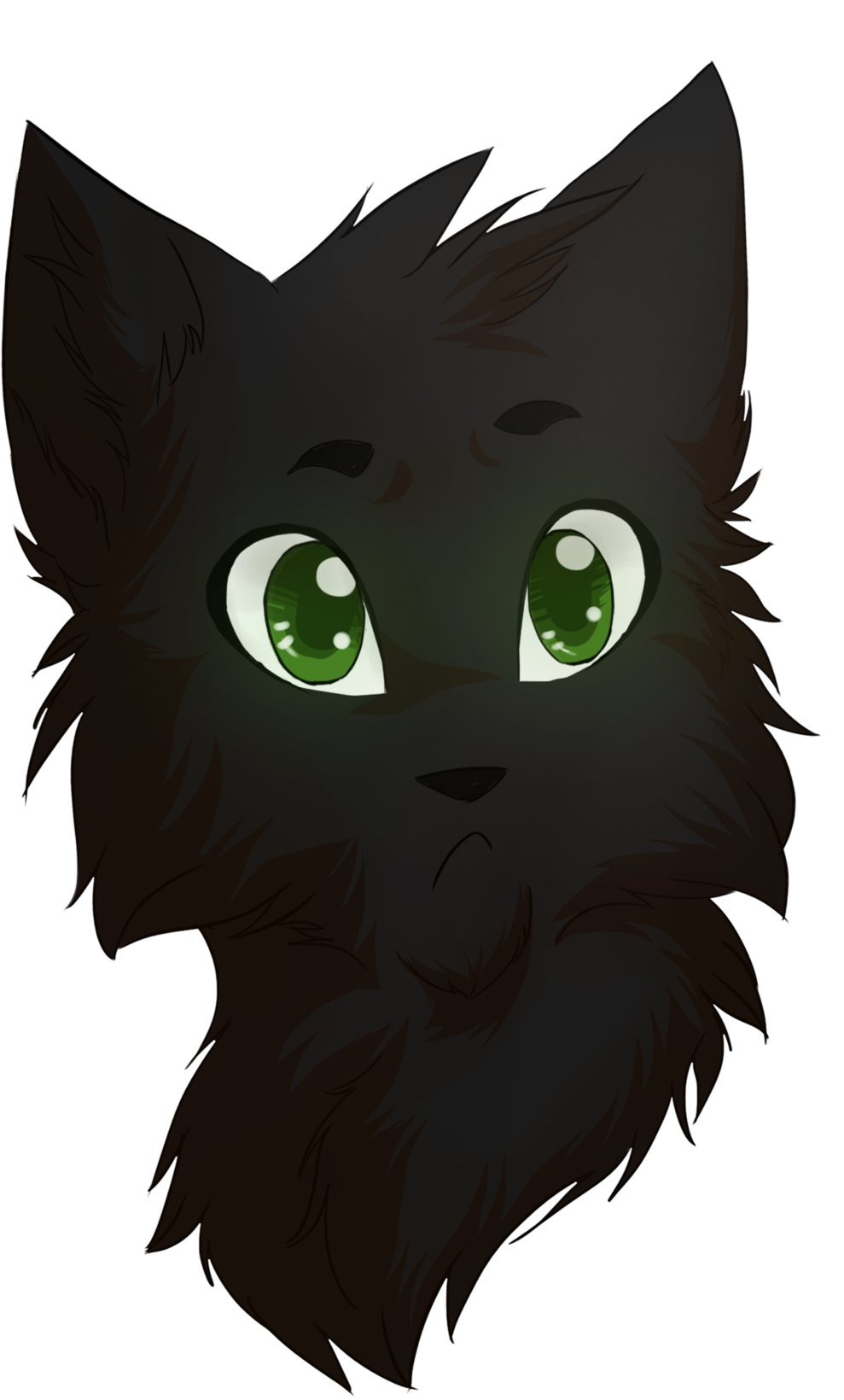 Fisheye By Riverspirit456 Fisheye By Riverspirit456 - Cat - Free Transparent PNG Clipart Images Download. - Cat Transparent PNG Free Download