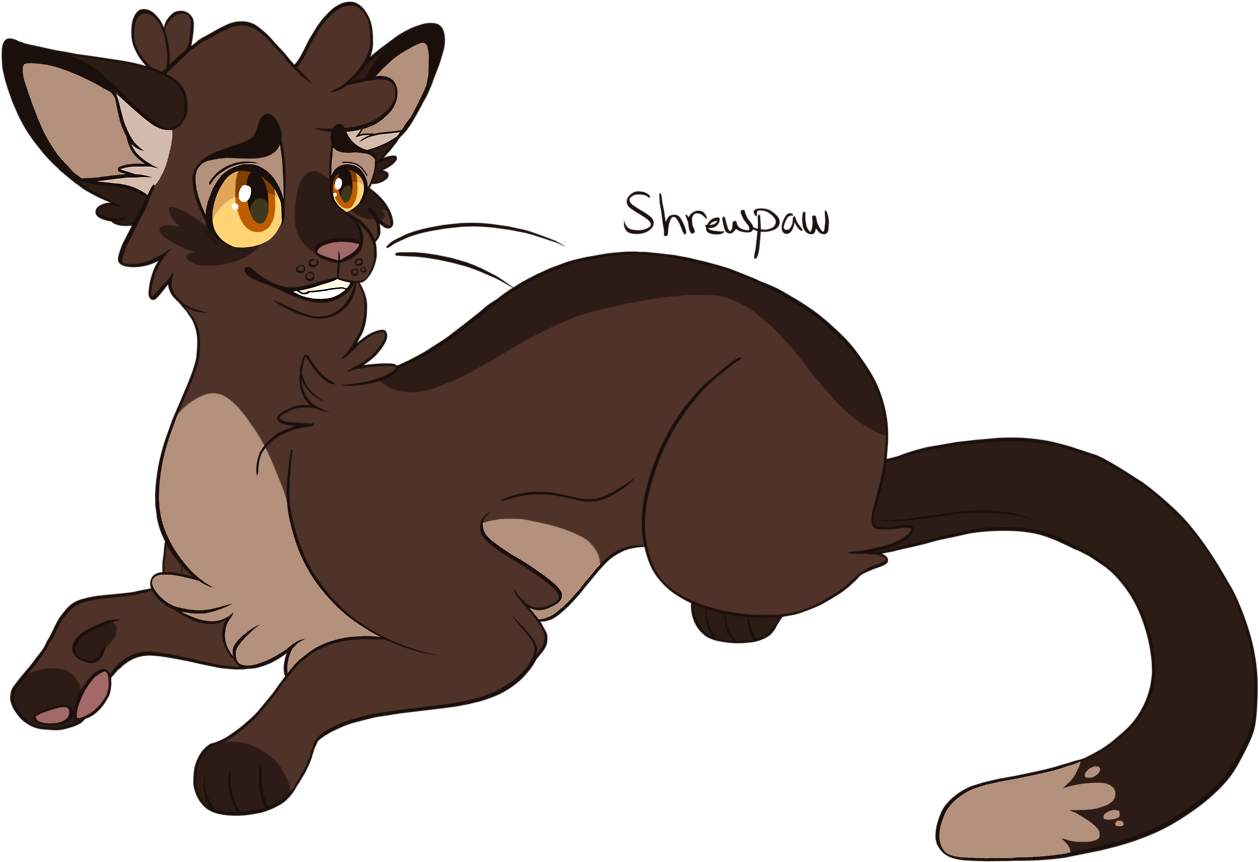 Shrewpaw Thunderclan Warriors Warrior Cats Fernsong22 - Warrior Cats Shrewpaw - Free Transparent PNG Clipart Images Download. - Cat Transparent PNG Free Download