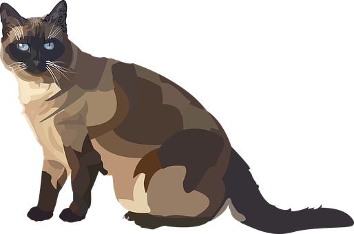Siam, Cat, Breed Cat, Animal, Blue Eye - Siamese Cat Illust Free Png - Free Transparent PNG Clipart Images Download. - Cat Transparent PNG Free Download