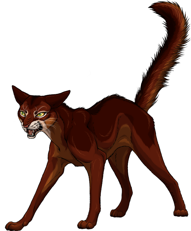 Cat Foxy [2] By Spirit Of Alaska - Cat - Free Transparent PNG Clipart Images Download. - Cat Transparent PNG Free Download