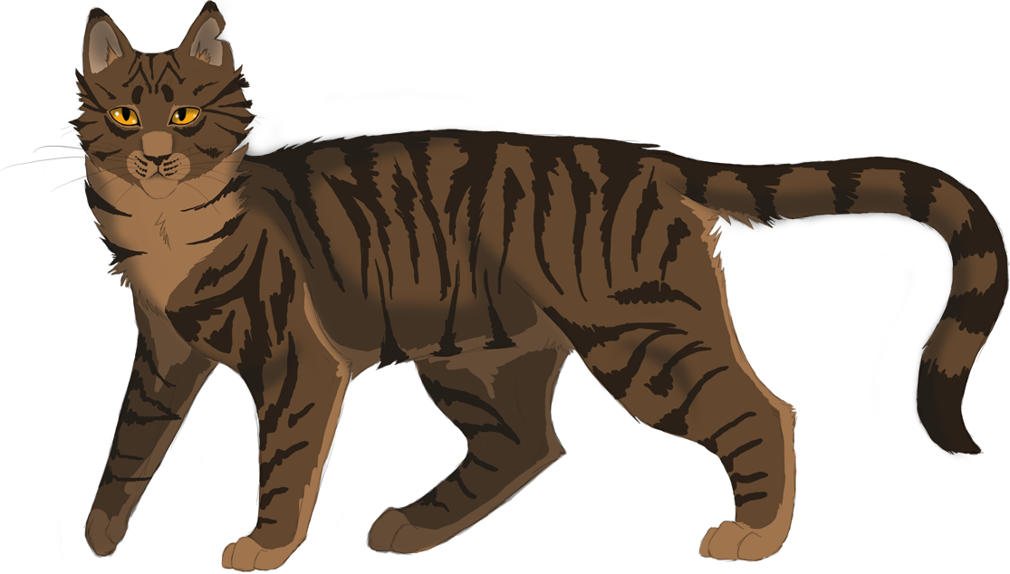 Tigerheart To Ivypool In The Forgotten Warrior, Page - Warrior Cats Deviantart Tigerheart - Free Transparent PNG Clipart Images Download. - Cat Transparent PNG Free Download