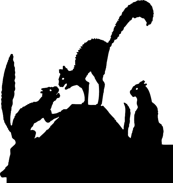 Cat, Silhouette, Angry, Fight, Cartoon, Dog - Black Cat Silhouette - Free Transparent PNG Clipart Images Download. - Cat Transparent PNG Free Download