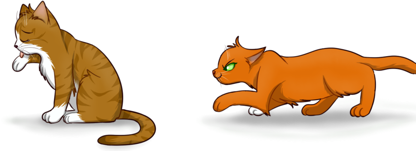 Oh No Watch Out Leafpoooooooool You Can Tell They're - Cat - Free Transparent PNG Clipart Images Download. - Cat Transparent PNG Free Download