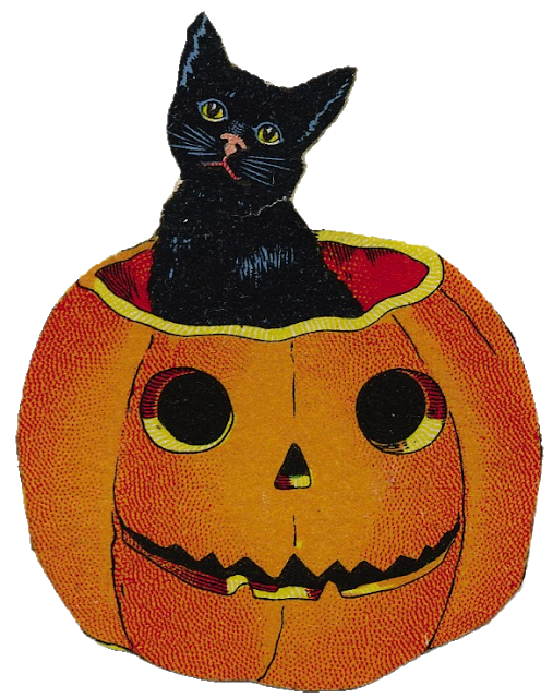Download Vintage Halloween Necklace Black Cat And Pumpkin - Vintage Halloween Pumpkin Cat Transparent PNG - 507x640 - Free Download on - Cat Transparent PNG Free Download