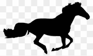Silhouette, Horse, Isolated, Black, Run, Beautiful - Sphynx Cat Clip Art - Free Transparent PNG Clipart Images Download. - Cat Transparent PNG Free Download