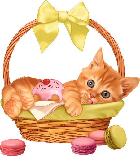 Gatti Tubes Per Grafica In Png - Cat Is In The Basket - Free Transparent PNG Clipart Images Download. - Cat Transparent PNG Free Download