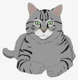 Whiskers Clipart Gray - Grey Tabby Cat Cartoon Transparent PNG - 695x720 - Free Download on - Cat Transparent PNG Free Download
