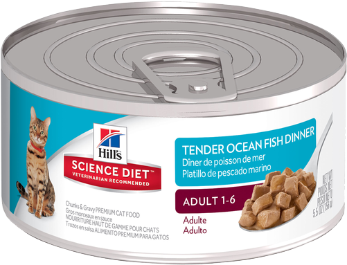 Sd Adult Tender Ocean Fish Dinner Cat Food - Hills Canned Pet Food Transparent PNG - 500x500 - Free Download on - Cat Transparent PNG Free Download