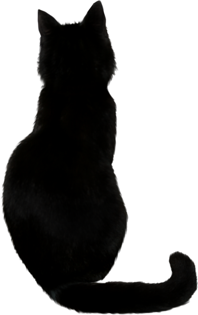 Black Cat Png Photos - Back Of A Black Cat Transparent PNG - 643x1024 - Free Download on - Cat Transparent PNG Free Download