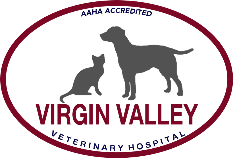 Virgin Valley Veterinary Hospital - Cafepress Cat Was Right Scarf - Free Transparent PNG Clipart Images Download. - Cat Transparent PNG Free Download