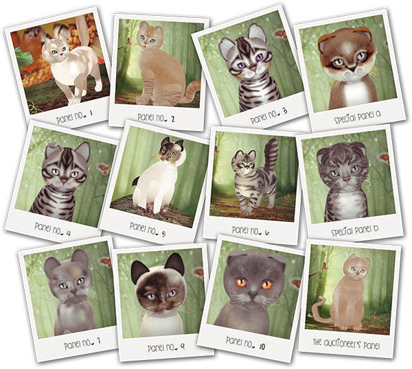 Kittycats With Kiki In The Garden 10 October - Domestic Short-haired Cat - Free Transparent PNG Clipart Images Download. - Cat Transparent PNG Free Download