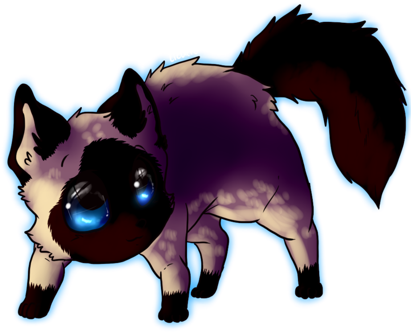 Siamese Cat Kawaii By Lizheru - Kawaii Siamese Cat - Free Transparent PNG Clipart Images Download. - Cat Transparent PNG Free Download