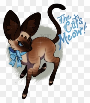 [minkin] The Cat's Meow - Cat Meow - Free Transparent PNG Clipart Images Download. - Cat Transparent PNG Free Download