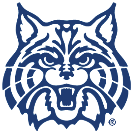 Wildcat Clipart Uofa - University Of Arizona Cat - Free Transparent PNG Clipart Images Download. - Cat Transparent PNG Free Download