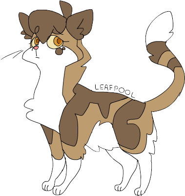 Tumblr Mus9qvnkln1skmox9o1 R1 500 By Summarytax26 Tumblr - Warrior Cats Nifty Senpai Leafpool - Free Transparent PNG Clipart Images Download. - Cat Transparent PNG Free Download