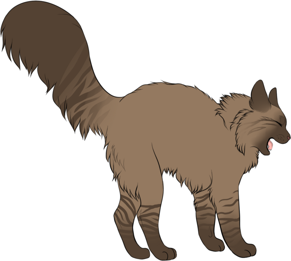 Rosepetal By Spottedfire23 Rosepetal By Spottedfire23 - Rosepetal Warrior Cats - Free Transparent PNG Clipart Images Download. - Cat Transparent PNG Free Download