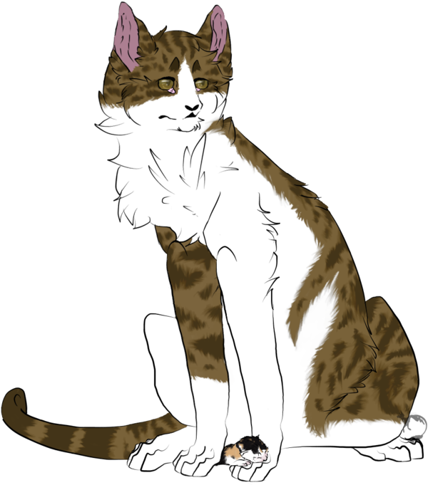 Yuzuki And Kaori By Xheart Of A Wolfx-dc8yuj2 - Domestic Short-haired Cat - Free Transparent PNG Clipart Images Download. - Cat Transparent PNG Free Download