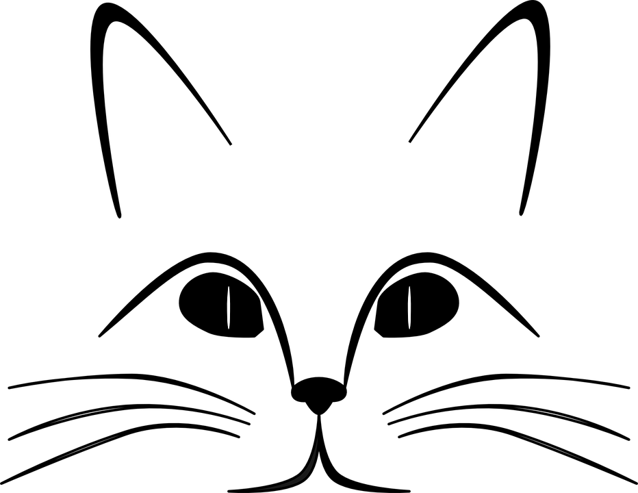 Cat, Ears, Eyes, Face, Feline, Gaze, Nose, Whiskers - Cat And Heart Shower Curtain - Free Transparent PNG Clipart Images Download. - Cat Transparent PNG Free Download