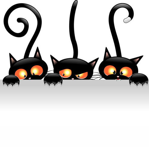 0 C906c 2383c494 Orig - Funny Black Cat Png - Free Transparent PNG Clipart Images Download. - Cat Transparent PNG Free Download