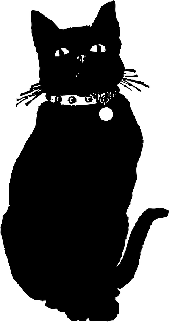 Cat, Silhouette, Cartoon, Dog, Mammals, Cute - Black Cat Illustration Png - Free Transparent PNG Clipart Images Download. - Cat Transparent PNG Free Download