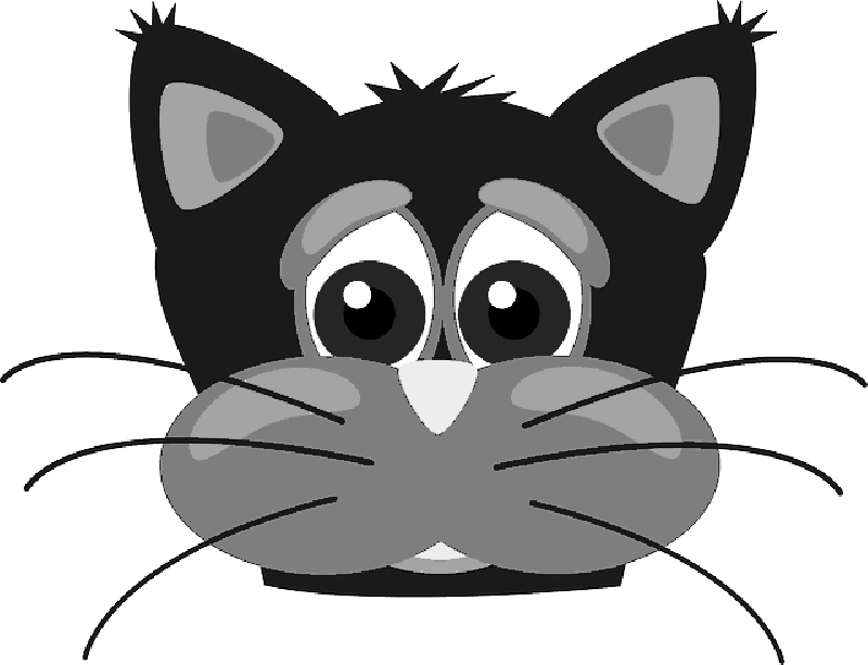 Animals, Cat, Head, Face, Cartoon, Mammals, Cats - Custom Cartoon Cat Face Shower Curtain - Free Transparent PNG Clipart Images Download. - Cat Transparent PNG Free Download