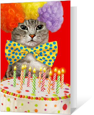 Birthday Catittude Greeting Card Birthday Card - Happy Birthday Wish With Cat - Free Transparent PNG Clipart Images Download. - Cat Transparent PNG Free Download