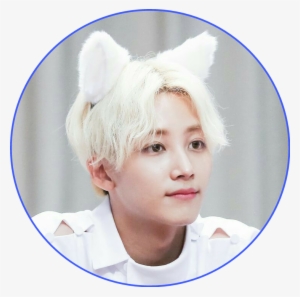 Saythenane Diamond Edge Diamondedge - Jeonghan Cat Ears Transparent PNG - 735x730 - Free Download on - Cat Transparent PNG Free Download