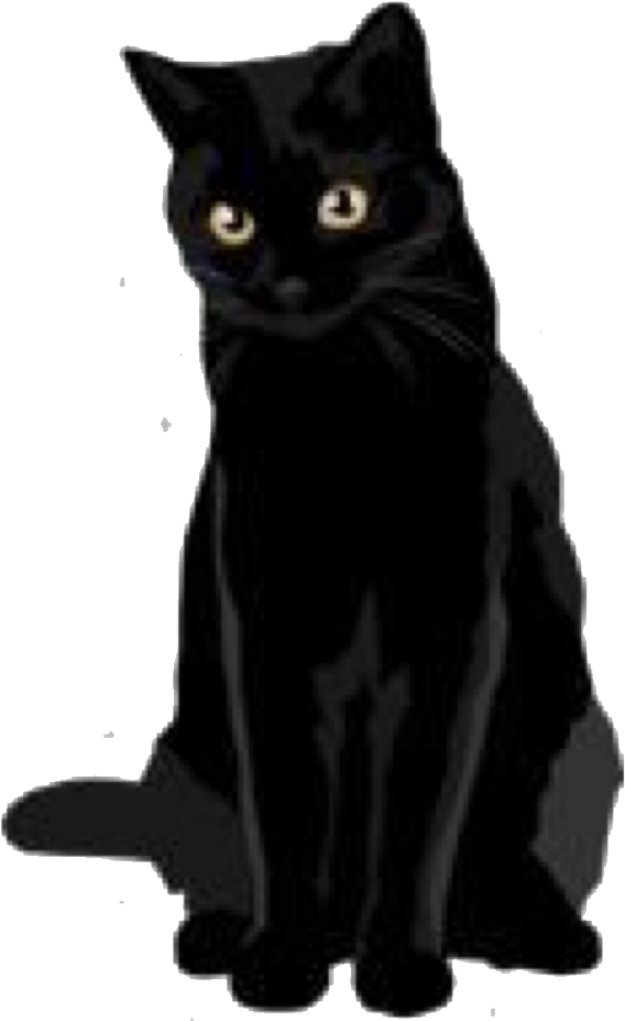 Blackcat Black Cats Darkart Dark Tumblr Freetoedit - How To Train Your Dragon Transparent PNG - 1024x1121 - Free Download on - Cat Transparent PNG Free Download