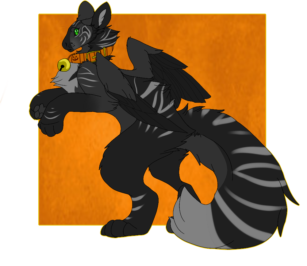 Midnight The Black Cat Dutch Angel Dragon - Cat Dutch Angel Dragon - Free Transparent PNG Clipart Images Download. - Cat Transparent PNG Free Download