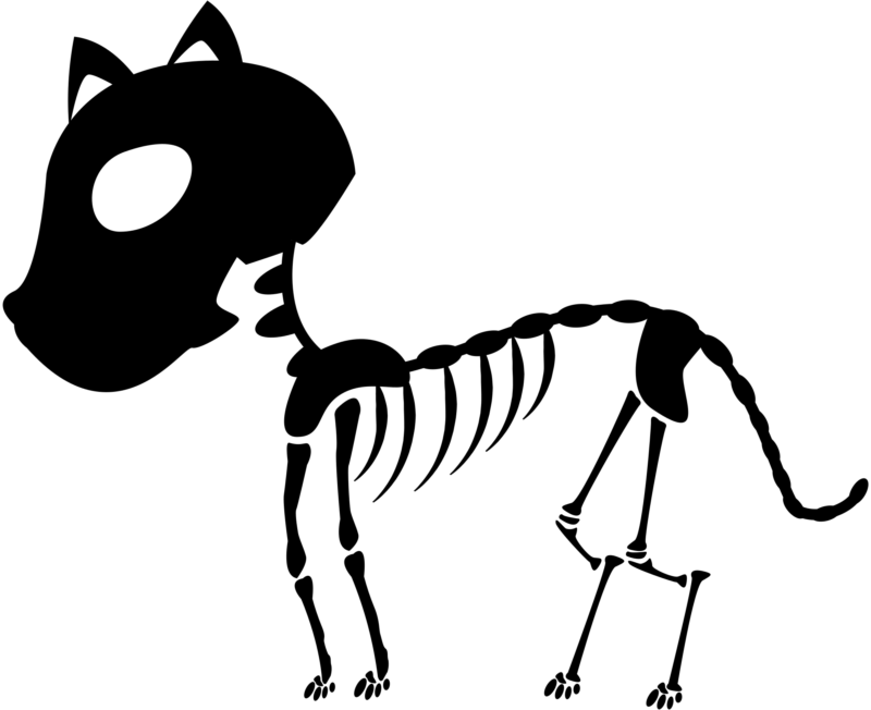 Free Skeleton Clipart Black And White Images Free Download - Skeleton Cat Png - Free Transparent PNG Clipart Images Download. - Cat Transparent PNG Free Download