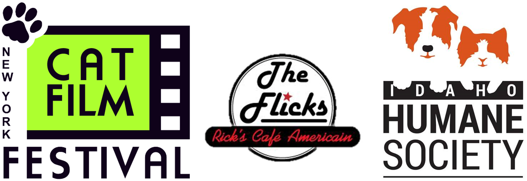 Cat Film Festival - Idaho Humane Society Transparent PNG - 2043x702 - Free Download on - Cat Transparent PNG Free Download