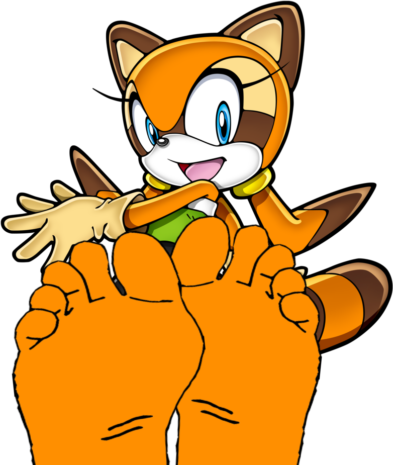 Marine The Raccoon's Feet By Anthonygoody - Blaze The Cat Sonic Rush - Free Transparent PNG Clipart Images Download. - Cat Transparent PNG Free Download