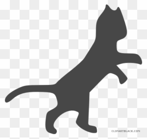Grayscale Cat Animal Free Black White Clipart Images - Dancing Cat Clip Art - Free Transparent PNG Clipart Images Download. - Cat Transparent PNG Free Download
