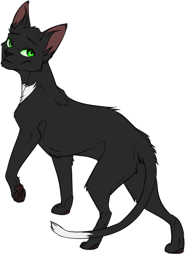 Warrior Cats Thunderclan Medicine Characters Tv Tropes - Warrior Cats Characters Png - Free Transparent PNG Clipart Images Download. - Cat Transparent PNG Free Download