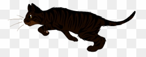 Squirrelwhisker - Warrior Cats Lightningtail - Free Transparent PNG Clipart Images Download. - Cat Transparent PNG Free Download