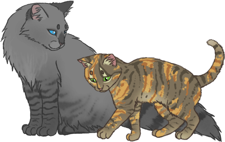 Medicine Cats By Katzen-kind - Domestic Short-haired Cat - Free Transparent PNG Clipart Images Download. - Cat Transparent PNG Free Download