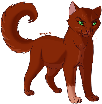 Warrior Cats Fanon Images Redrose Rainbowclan Wallpaper - Warrior Cats Squirrelflight - Free Transparent PNG Clipart Images Download. - Cat Transparent PNG Free Download
