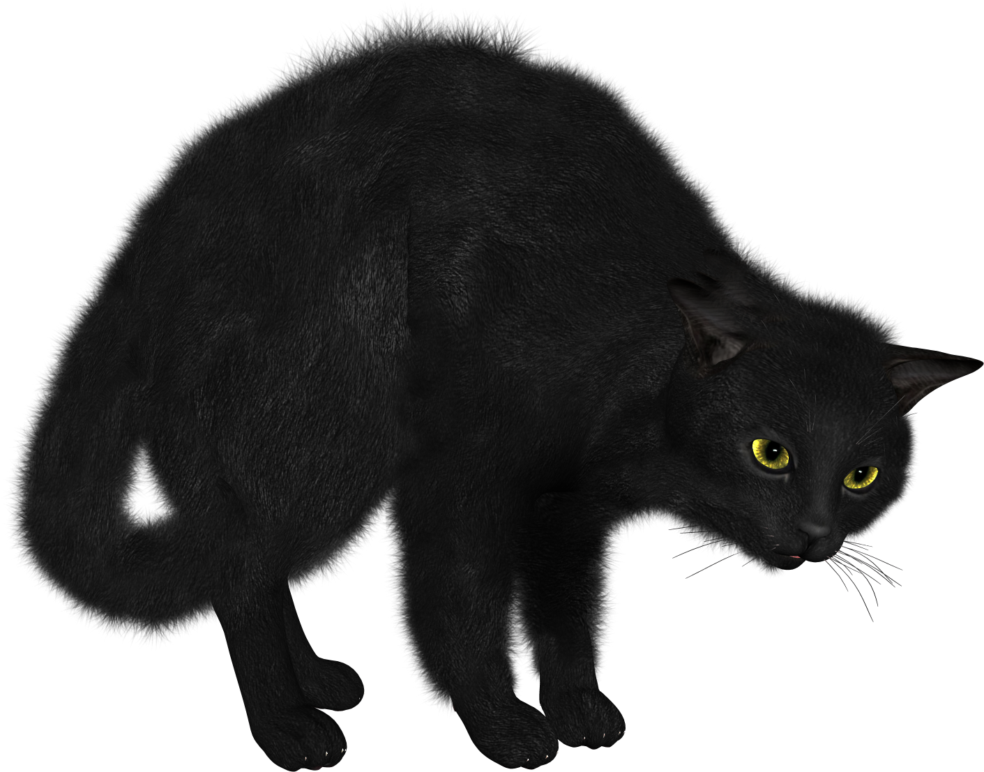 Cats Png Free Images, Download - Facts About Black Cats - Free Transparent PNG Clipart Images Download. - Cat Transparent PNG Free Download