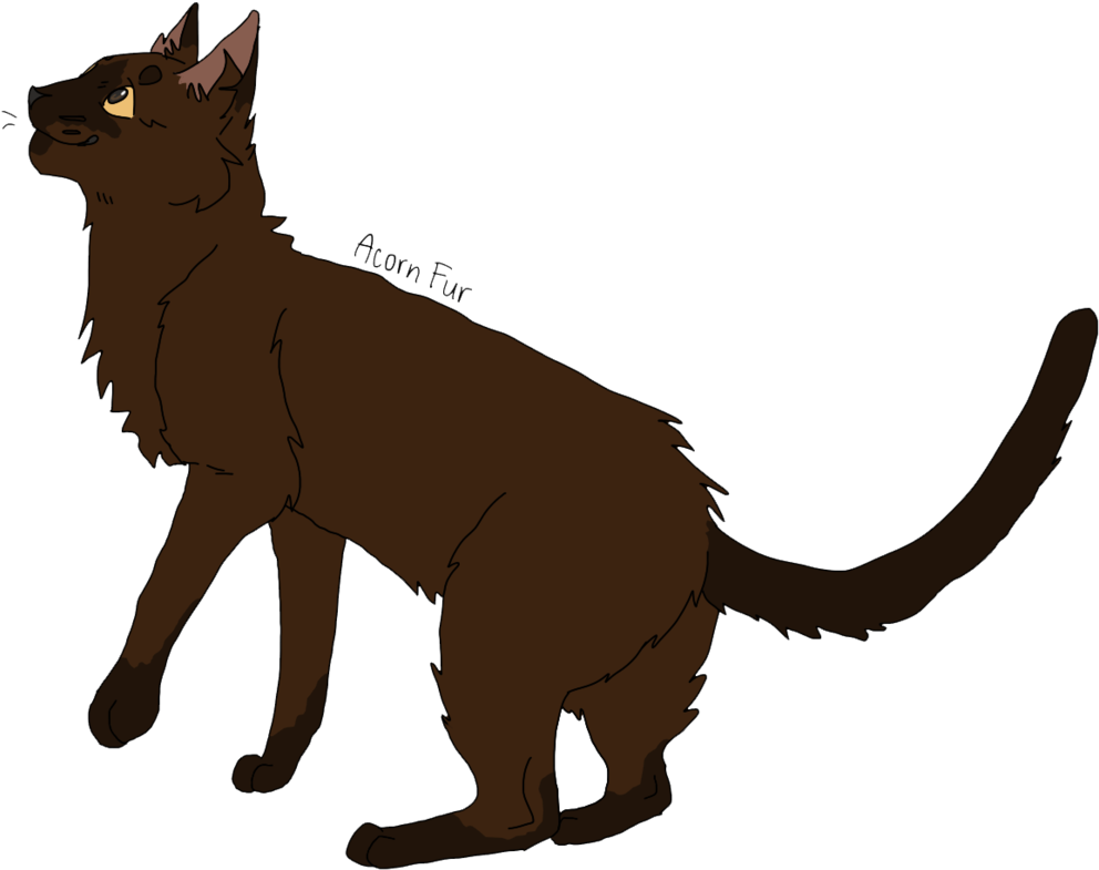 Acorn Fur By Glasskats - Warrior Cats Acorn Fur - Free Transparent PNG Clipart Images Download. - Cat Transparent PNG Free Download