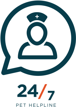 Get Answers To Your Pet Health Questions, 24/7 - Cat - Free Transparent PNG Clipart Images Download. - Cat Transparent PNG Free Download