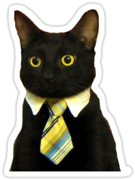 Hacia Tiempo Que No Escribía En Este Blog Y Esta Vez - Business Cat - Free Transparent PNG Clipart Images Download. - Cat Transparent PNG Free Download