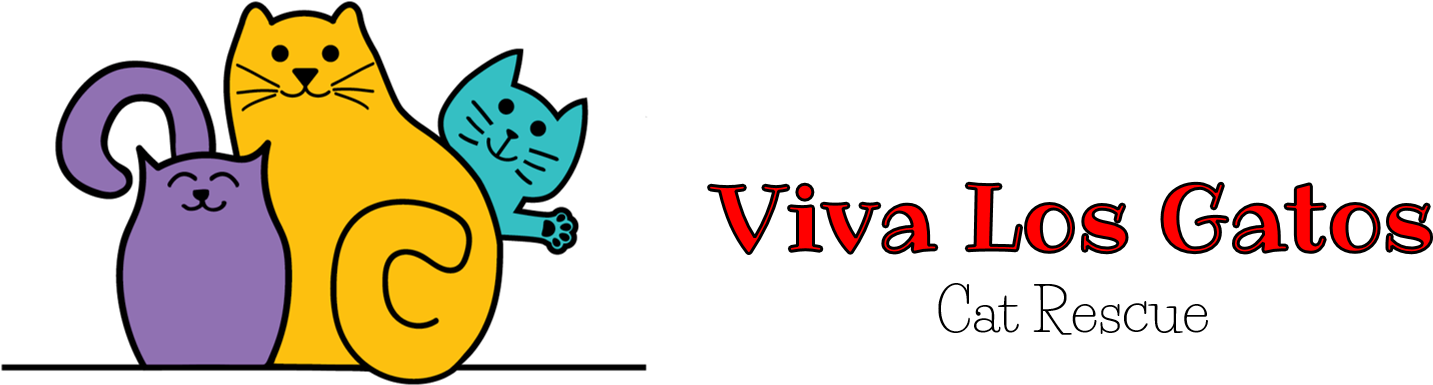 Viva Los Gatos Cat Rescue's Shop - Viva Los Gatos Cat Rescue Transparent PNG - 1453x390 - Free Download on - Cat Transparent PNG Free Download