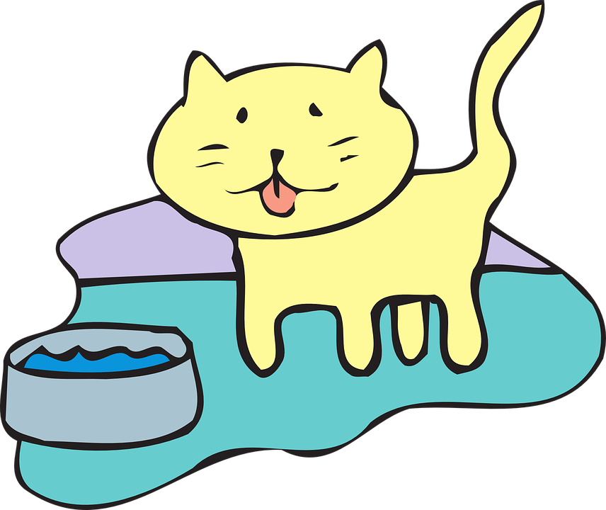 Cat Water Bowl Pet Animal - Cat Water Bowl Clipart - Free Transparent PNG Clipart Images Download. - Cat Transparent PNG Free Download